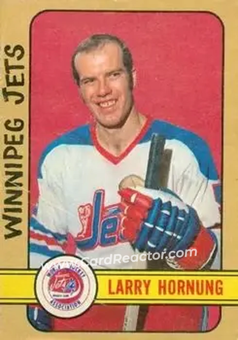 1972-73 O-Pee-Chee #317 - Larry Hornung - Winnipeg Jets - Front 1972-73 O-Pee-Chee #317 - Larry Hornung - Winnipeg Jets - Front