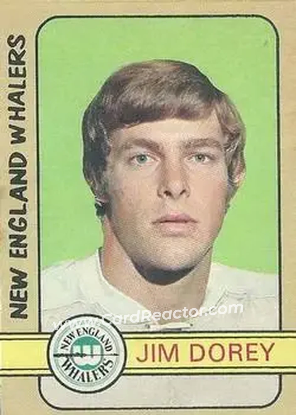1972-73 O-Pee-Chee #339 - Jim Dorey - New England Whalers - Front