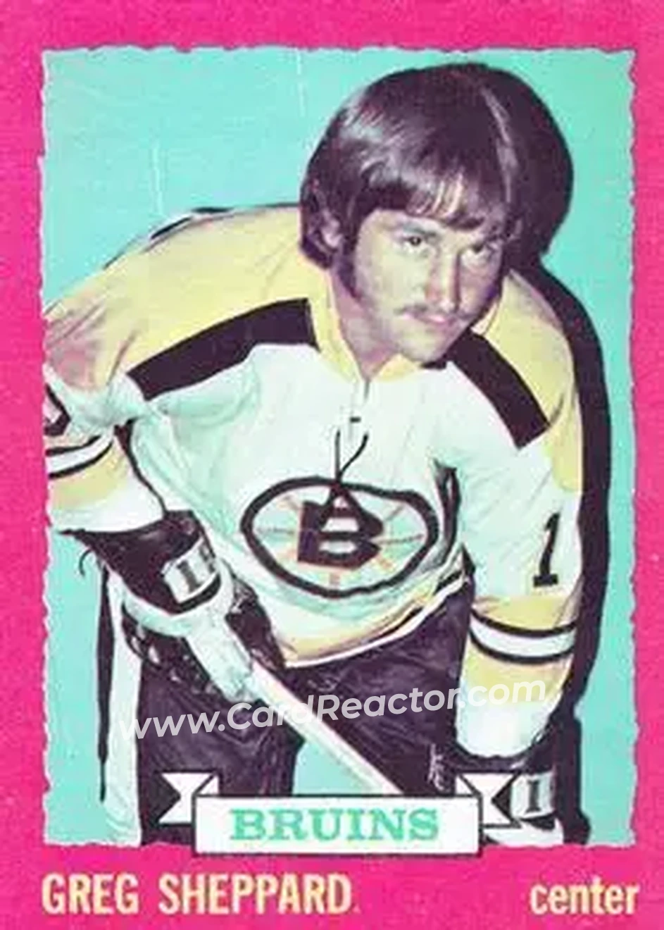 1973-74 O-Pee-Chee #8 - Gregg Sheppard - Boston Bruins - Front