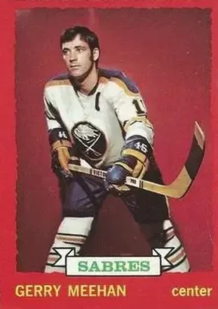 1973-74 O-Pee-Chee #22 Gerry Meehan