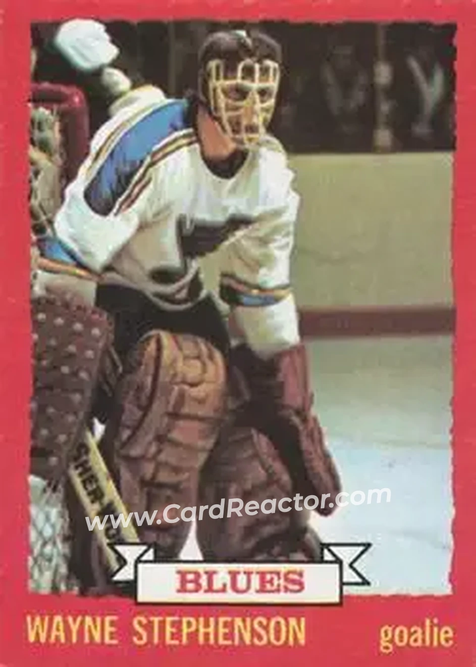 1973-74 O-Pee-Chee #31 - Wayne Stephenson - St. Louis Blues - Front