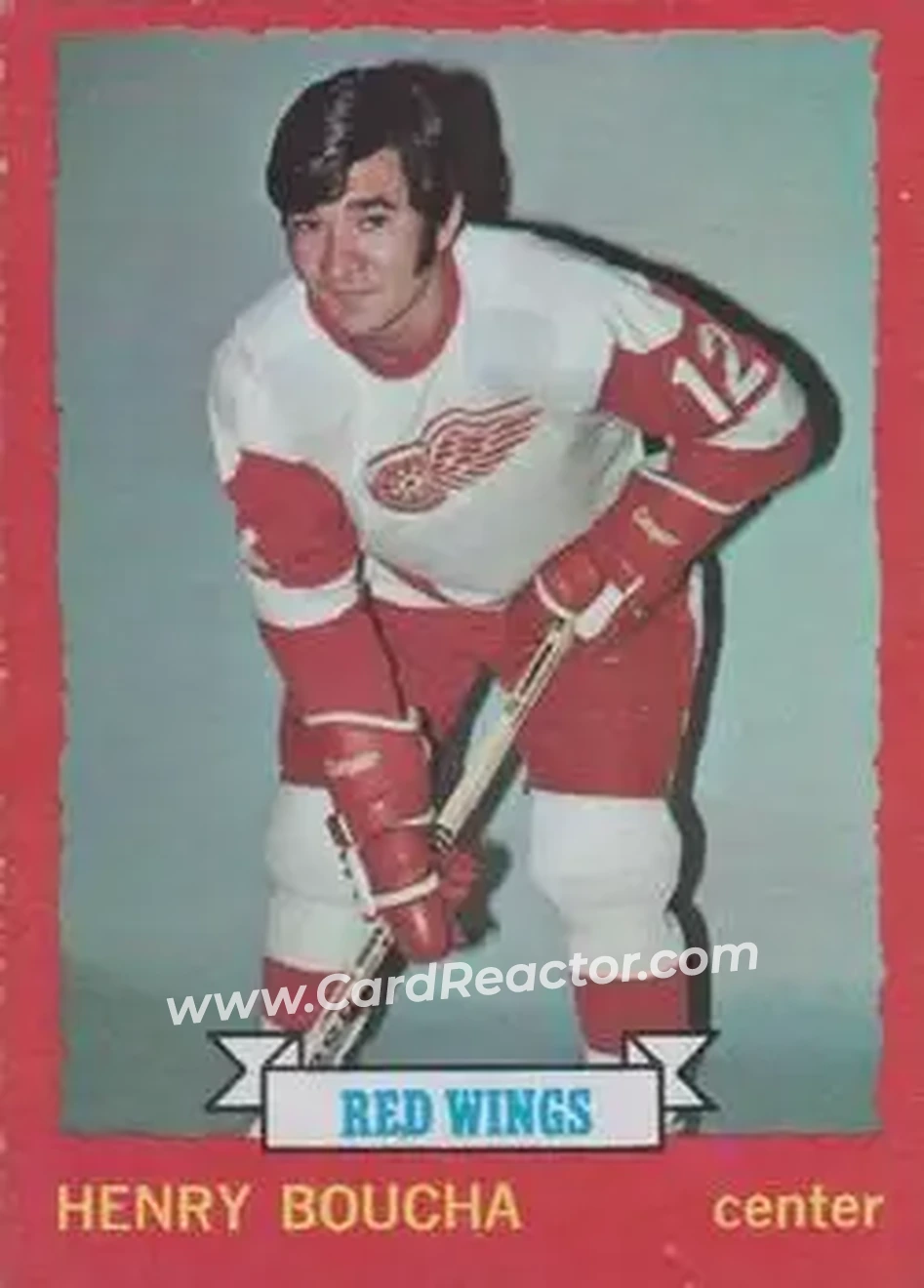 1973-74 O-Pee-Chee #33 - Henry Boucha - Detroit Red Wings - Front