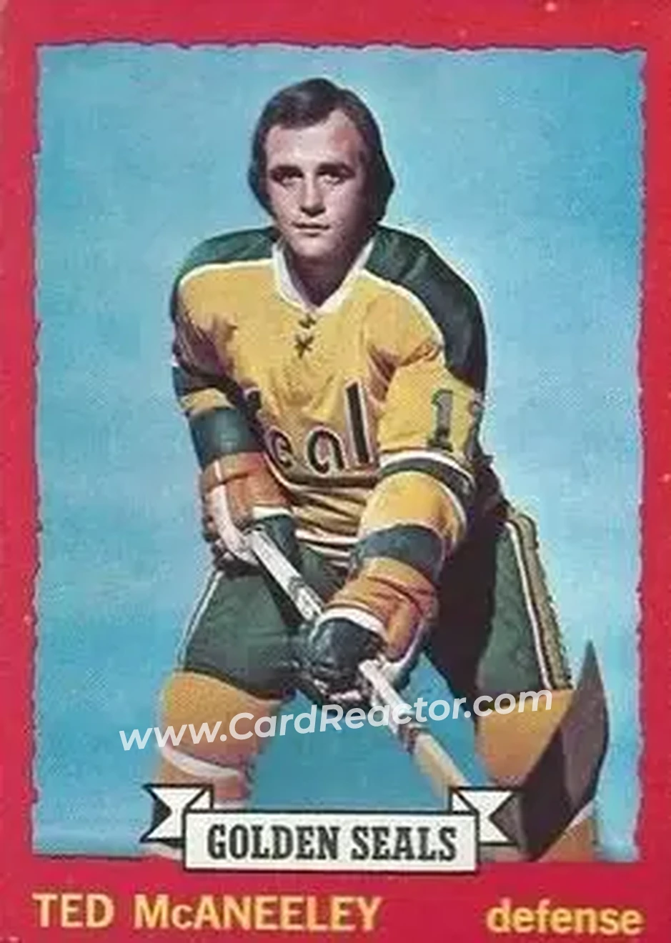 1973-74 O-Pee-Chee #37 - Ted McAneeley - California Golden Seals - Front