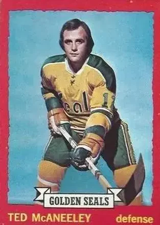 1973-74 O-Pee-Chee #37 - Ted McAneeley - California Golden Seals