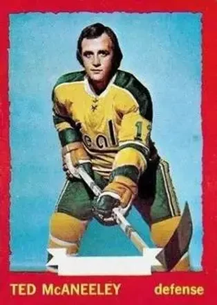 1973-74 O-Pee-Chee #37 - Ted McAneeley - California Golden Seals