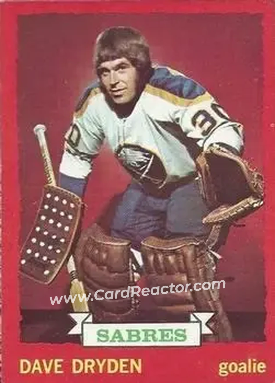 1973-74 O-Pee-Chee #63 - Dave Dryden - Buffalo Sabres - Front