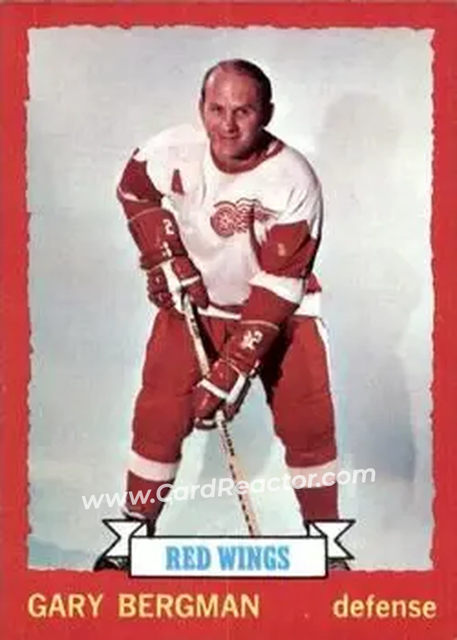 1973-74 O-Pee-Chee #65 - Gary Bergman - Detroit Red Wings - Front