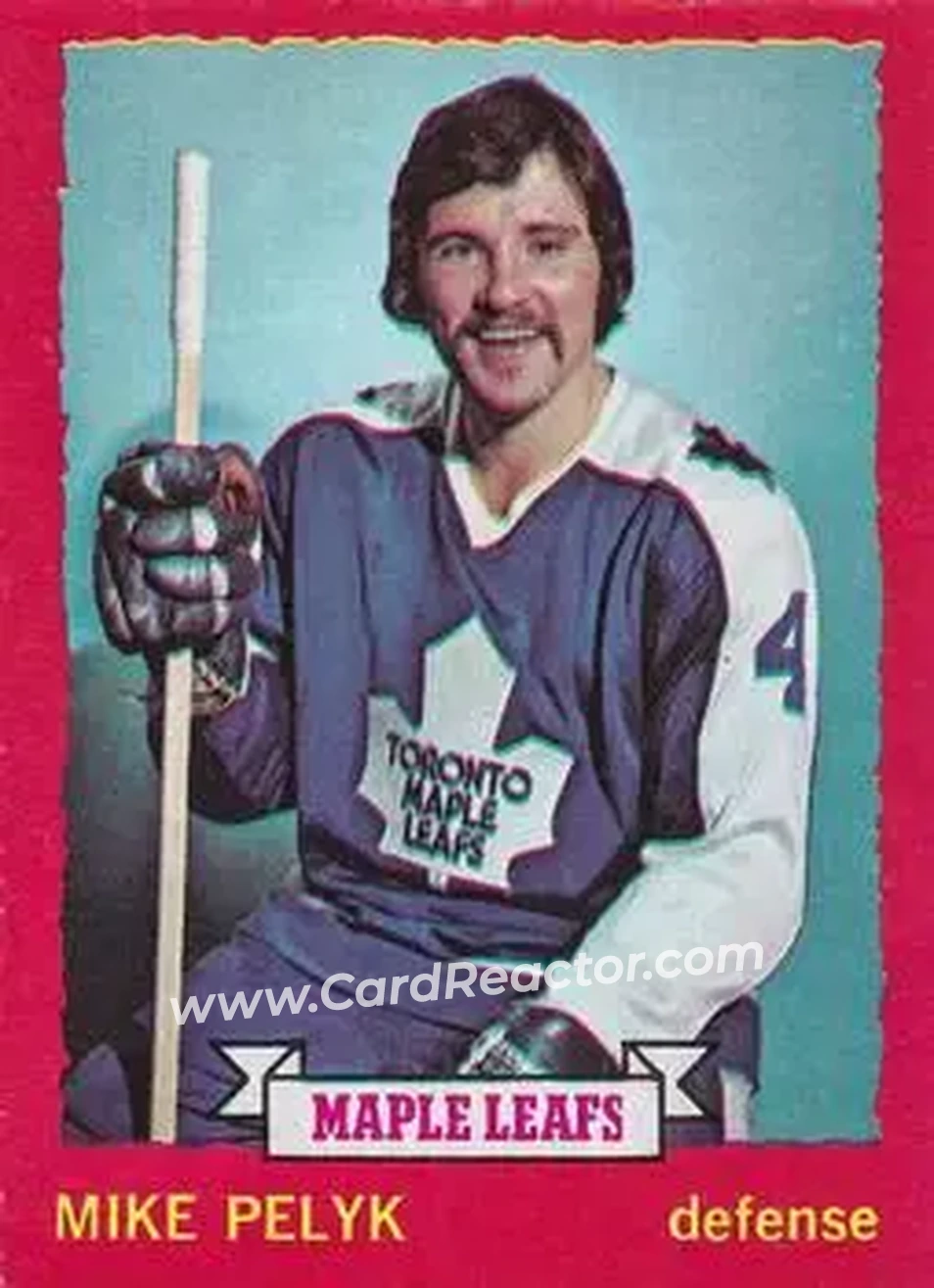 1973-74 O-Pee-Chee #71 - Mike Pelyk - Toronto Maple Leafs - Front
