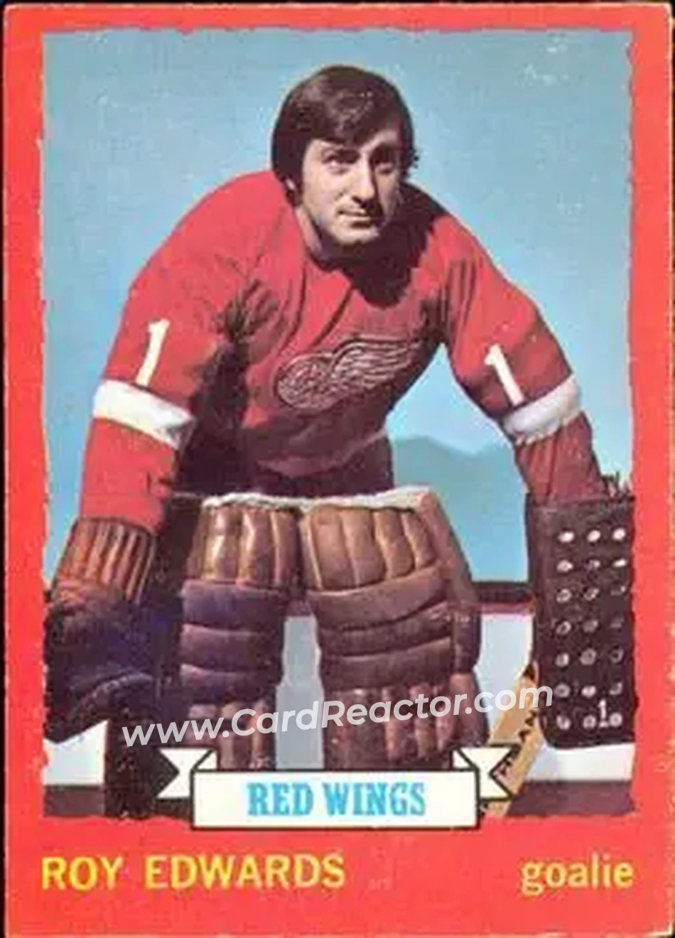 1973-74 O-Pee-Chee #82 - Roy Edwards - Detroit Red Wings - Front
