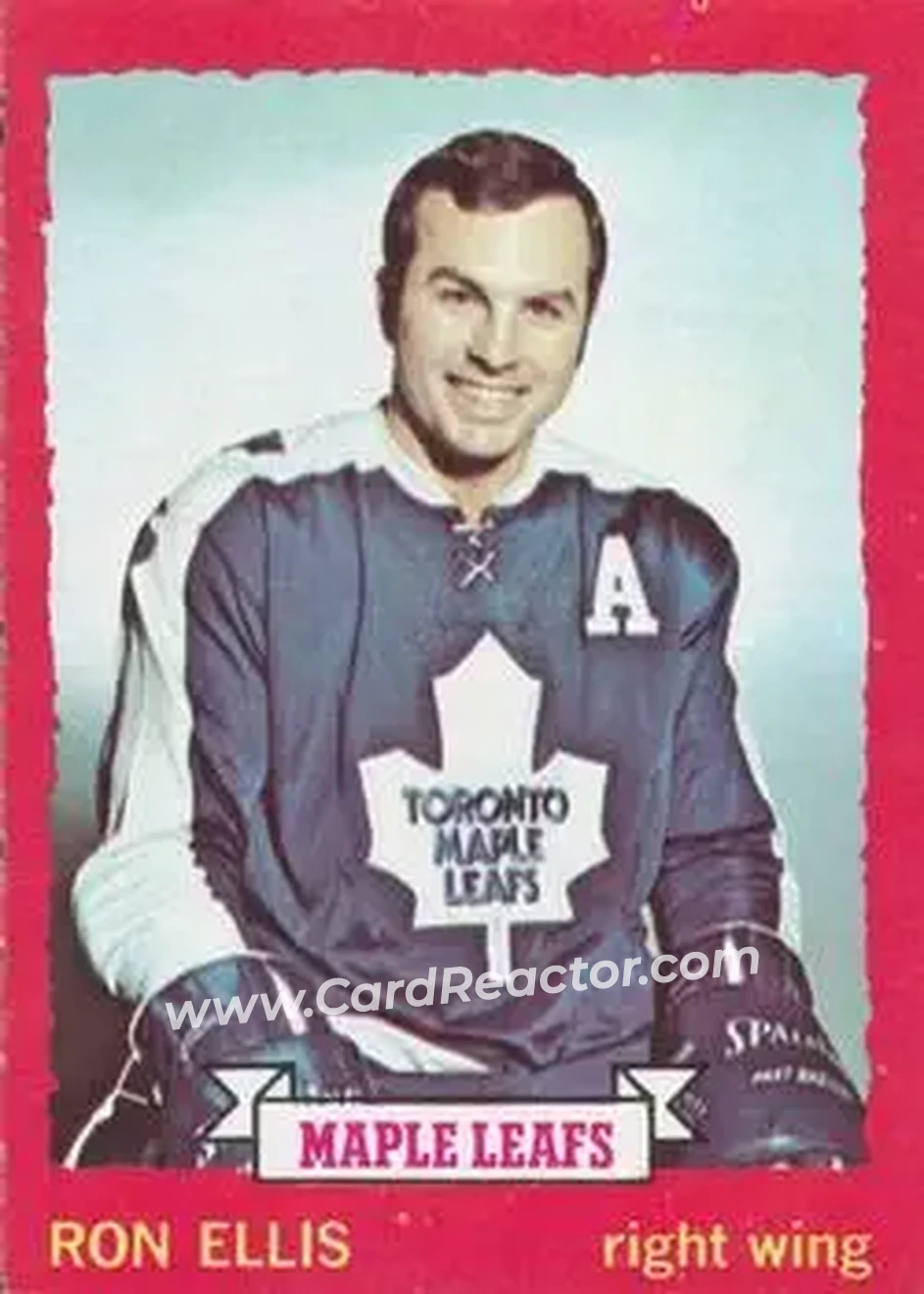 1973-74 O-Pee-Chee #55 - Ron Ellis - Toronto Maple Leafs - Front