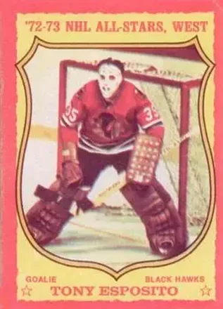 1973-74 O-Pee-Chee #90 Tony Esposito