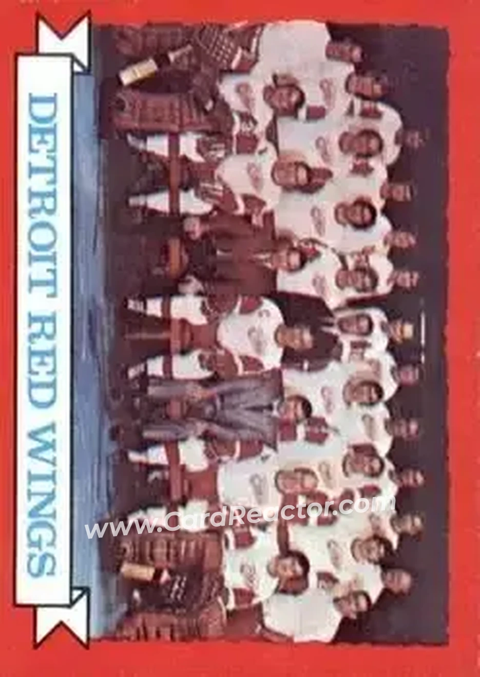 1973-74 O-Pee-Chee #97 - Red Wings Team TC - Detroit Red Wings - Detroit Red Wings - Front