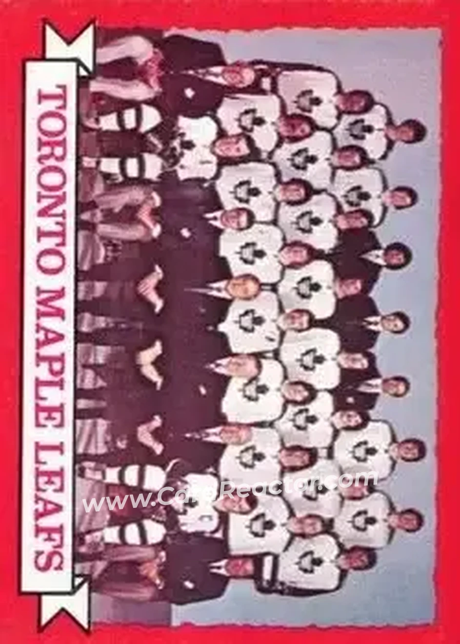 1973-74 O-Pee-Chee #106 - Maple Leafs Team TC - Toronto Maple Leafs - Toronto Maple Leafs - Front