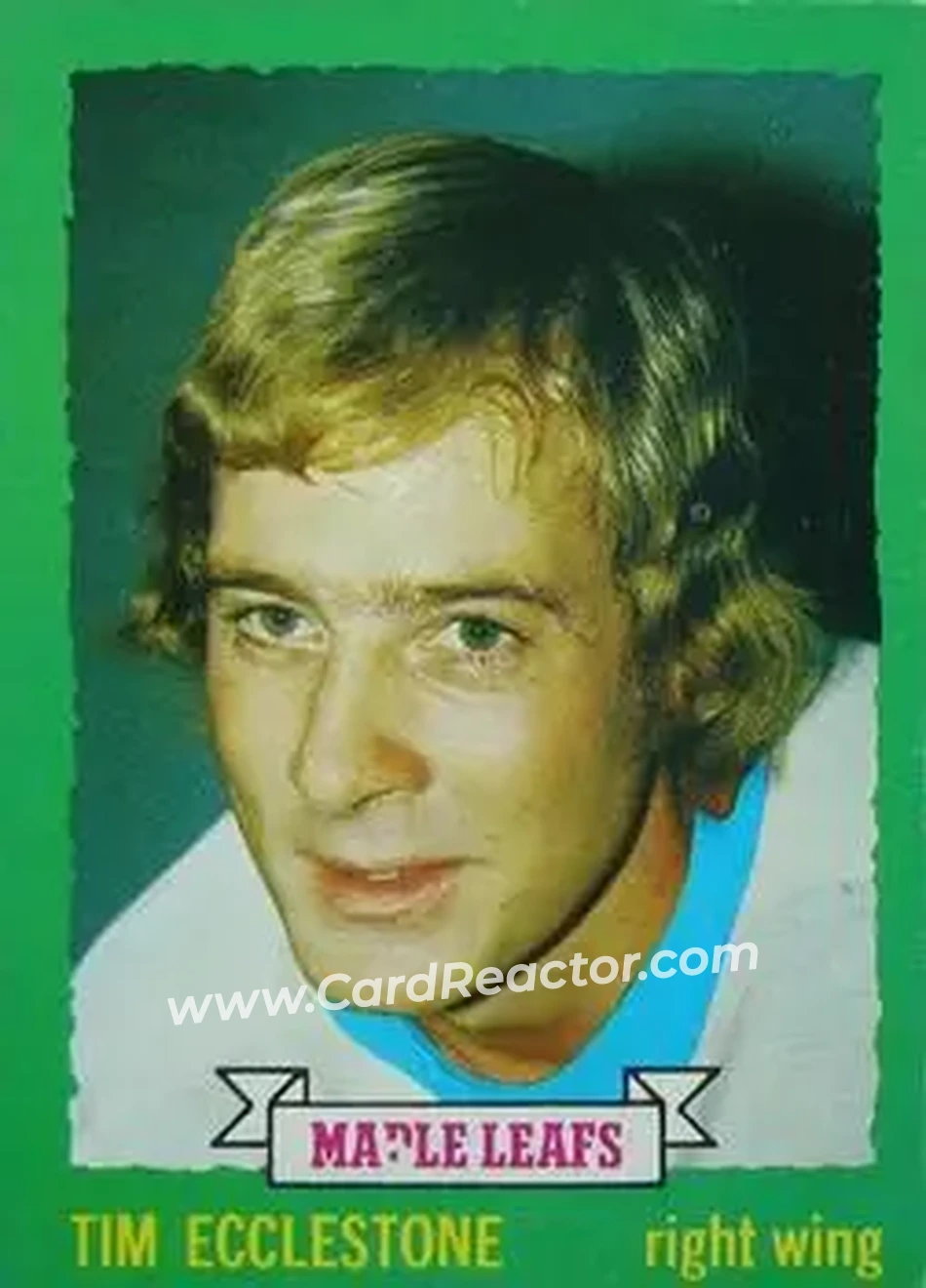 1973-74 O-Pee-Chee #144 - Tim Ecclestone - Toronto Maple Leafs - Front 1973-74 O-Pee-Chee #144 - Tim Ecclestone - Toronto Maple Leafs - Front