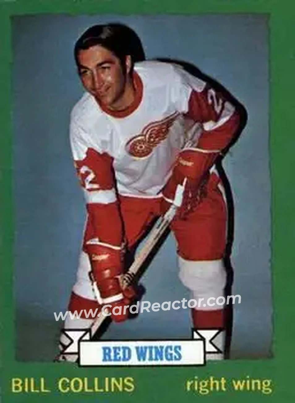1973-74 O-Pee-Chee #163 - Bill Collins - Detroit Red Wings - Front