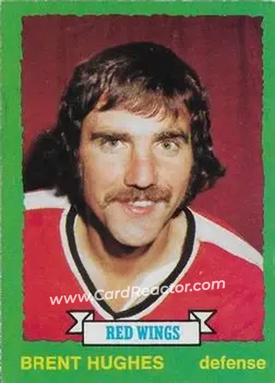 1973-74 O-Pee-Chee #184 - Brent Hughes - Detroit Red Wings - Front