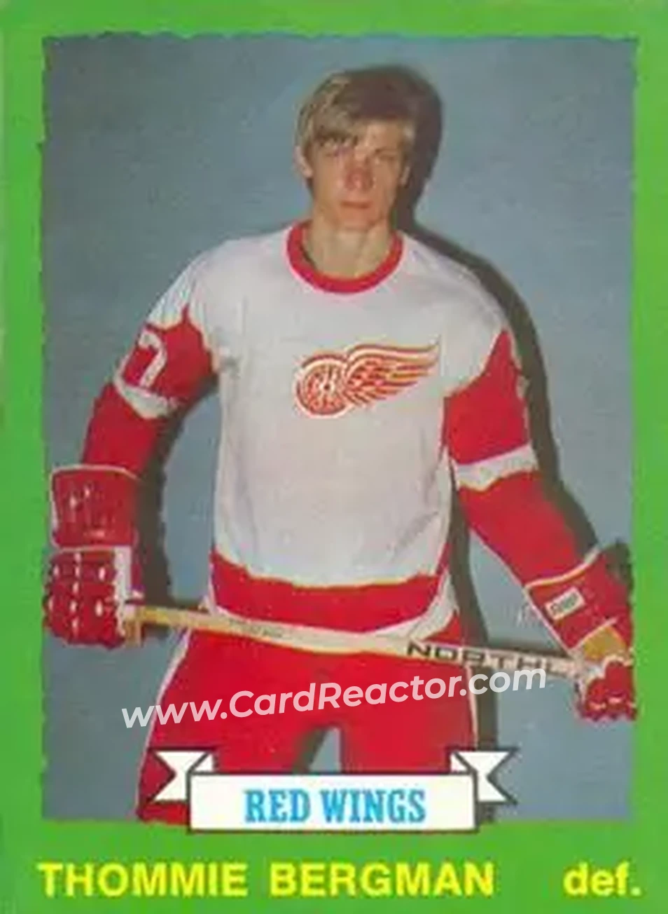 1973-74 O-Pee-Chee #204 - Thommie Bergman - Detroit Red Wings - Front