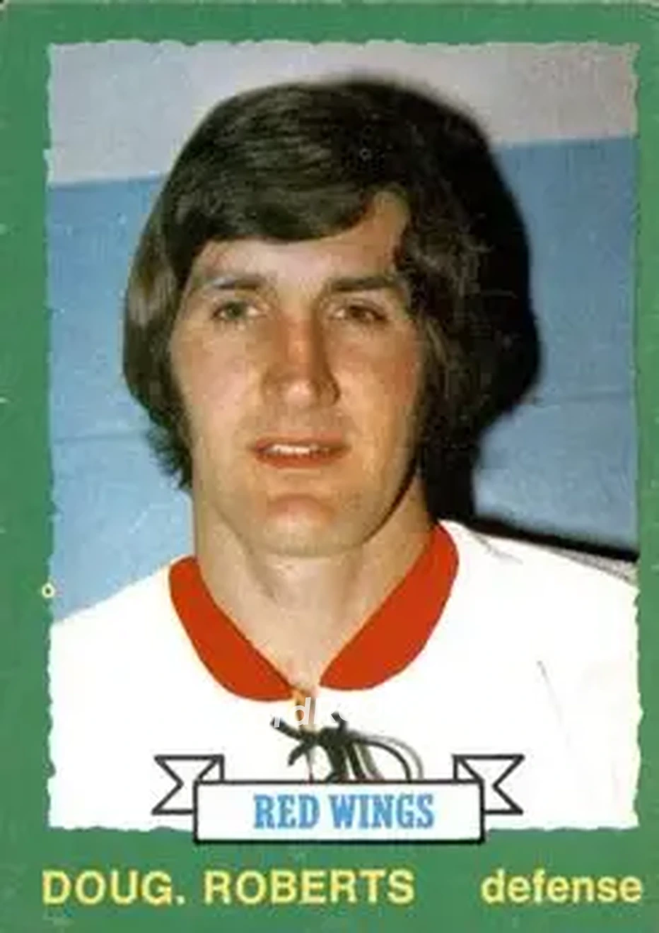1973-74 O-Pee-Chee #207 - Doug Roberts - Detroit Red Wings - Front