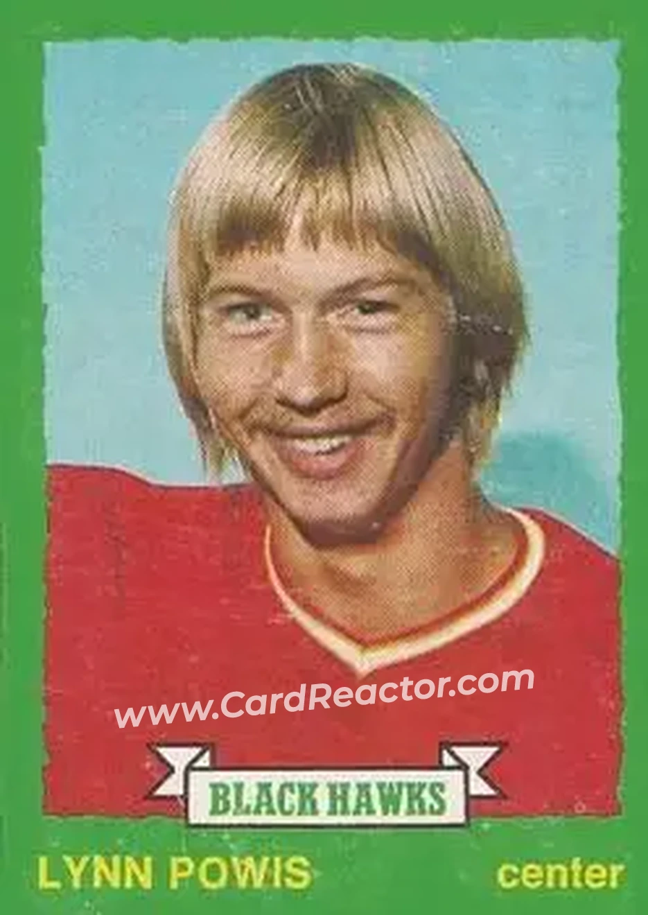 1973-74 O-Pee-Chee #209 - Lynn Powis - Chicago Blackhawks - Front