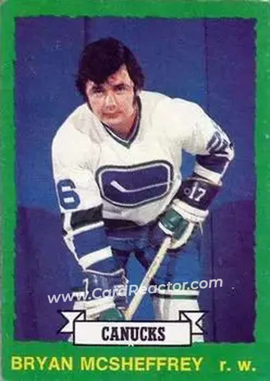 1973-74 O-Pee-Chee #219 - Bryan McSheffrey - Vancouver Canucks - Front