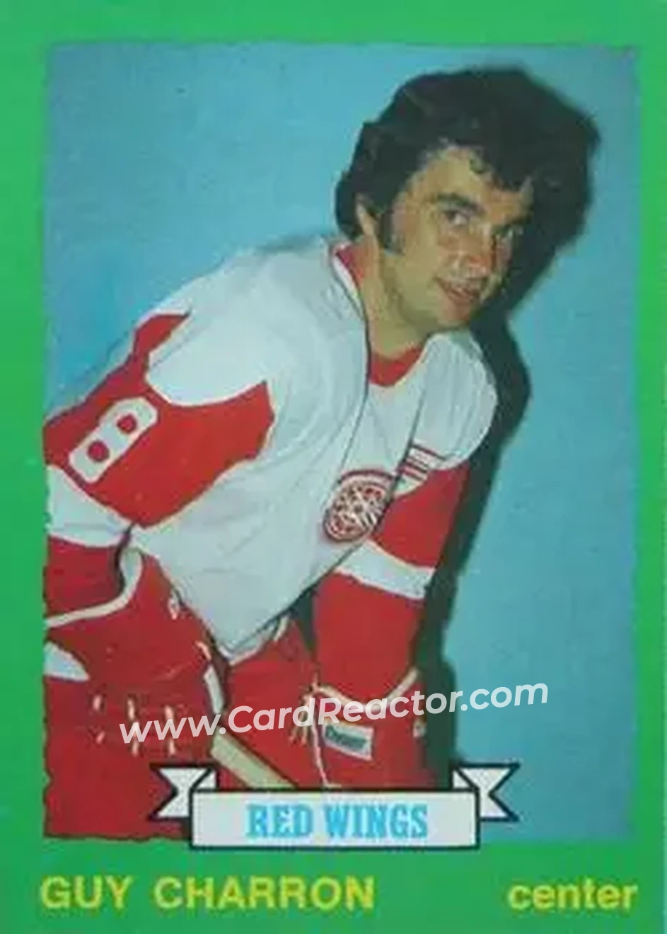 1973-74 O-Pee-Chee #220 - Guy Charron - Detroit Red Wings - Front 1973-74 O-Pee-Chee #220 - Guy Charron - Detroit Red Wings - Front