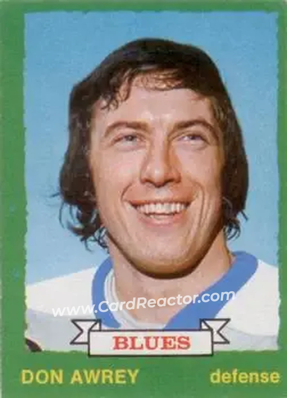 1973-74 O-Pee-Chee #240 - Don Awrey - St. Louis Blues - Front 1973-74 O-Pee-Chee #240 - Don Awrey - St. Louis Blues - Front