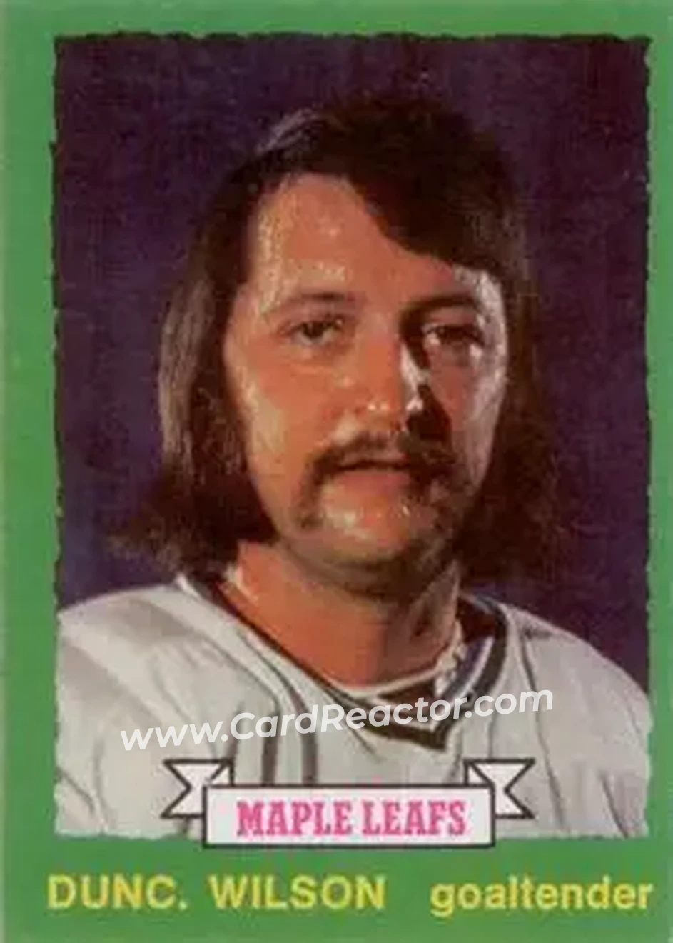 1973-74 O-Pee-Chee #257 - Dunc Wilson - Toronto Maple Leafs - Front