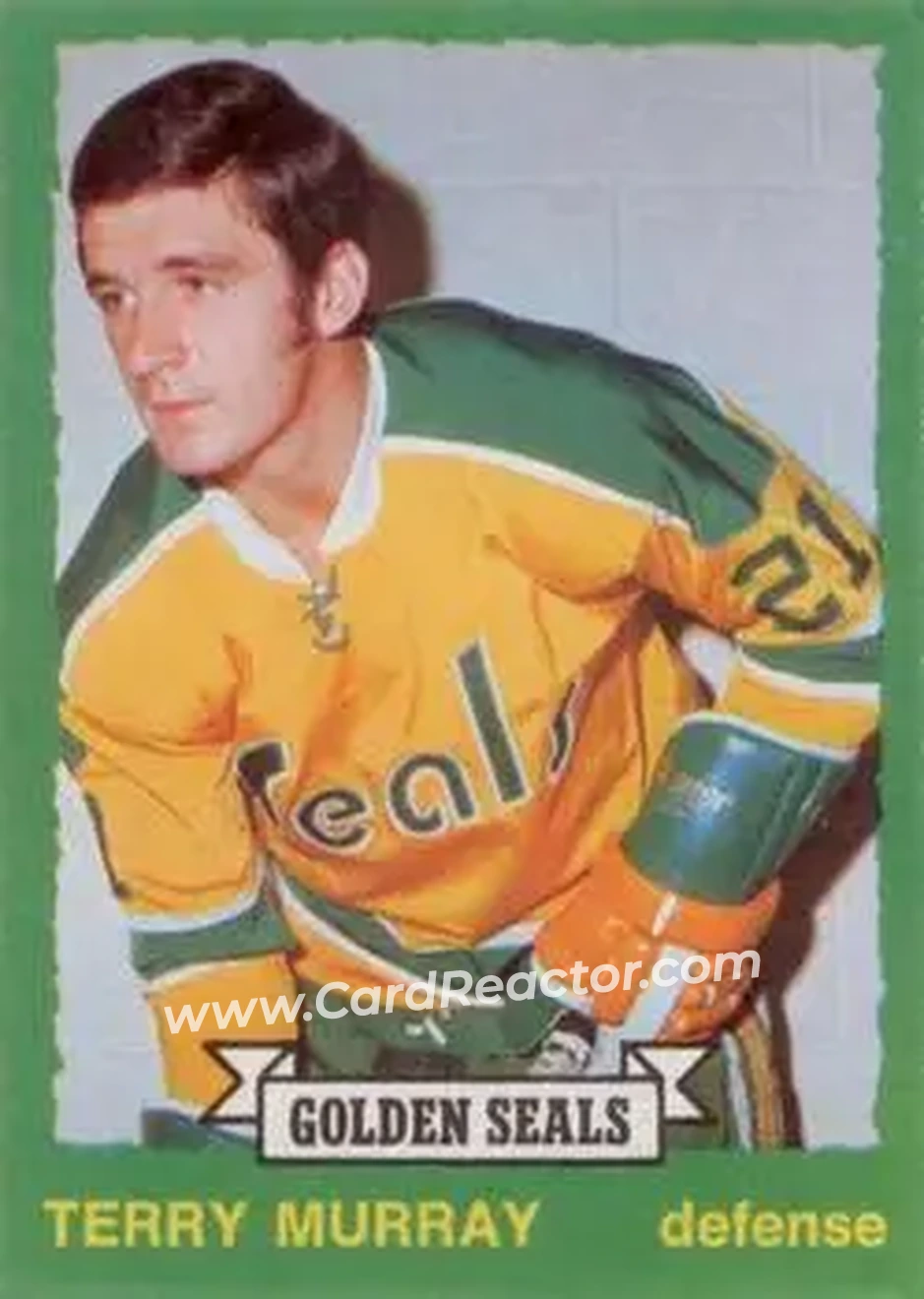 1973-74 O-Pee-Chee #259 - Terry Murray - California Golden Seals - Front