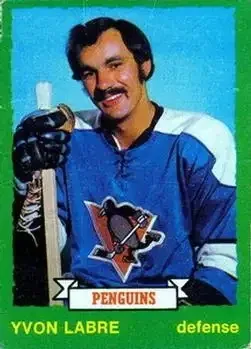 1973-74 O-Pee-Chee feature card