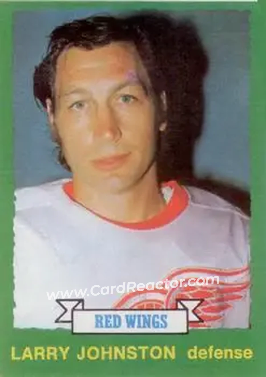 1973-74 O-Pee-Chee #251 - Larry Johnston - Detroit Red Wings - Front