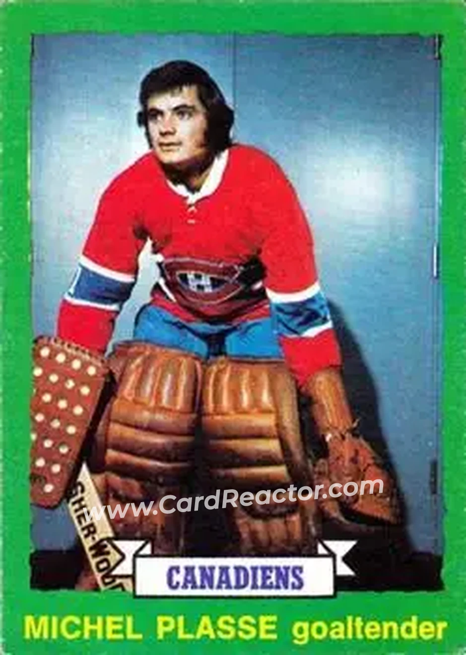 1973-74 O-Pee-Chee #252 - Michel Plasse - Montreal Canadiens - Front