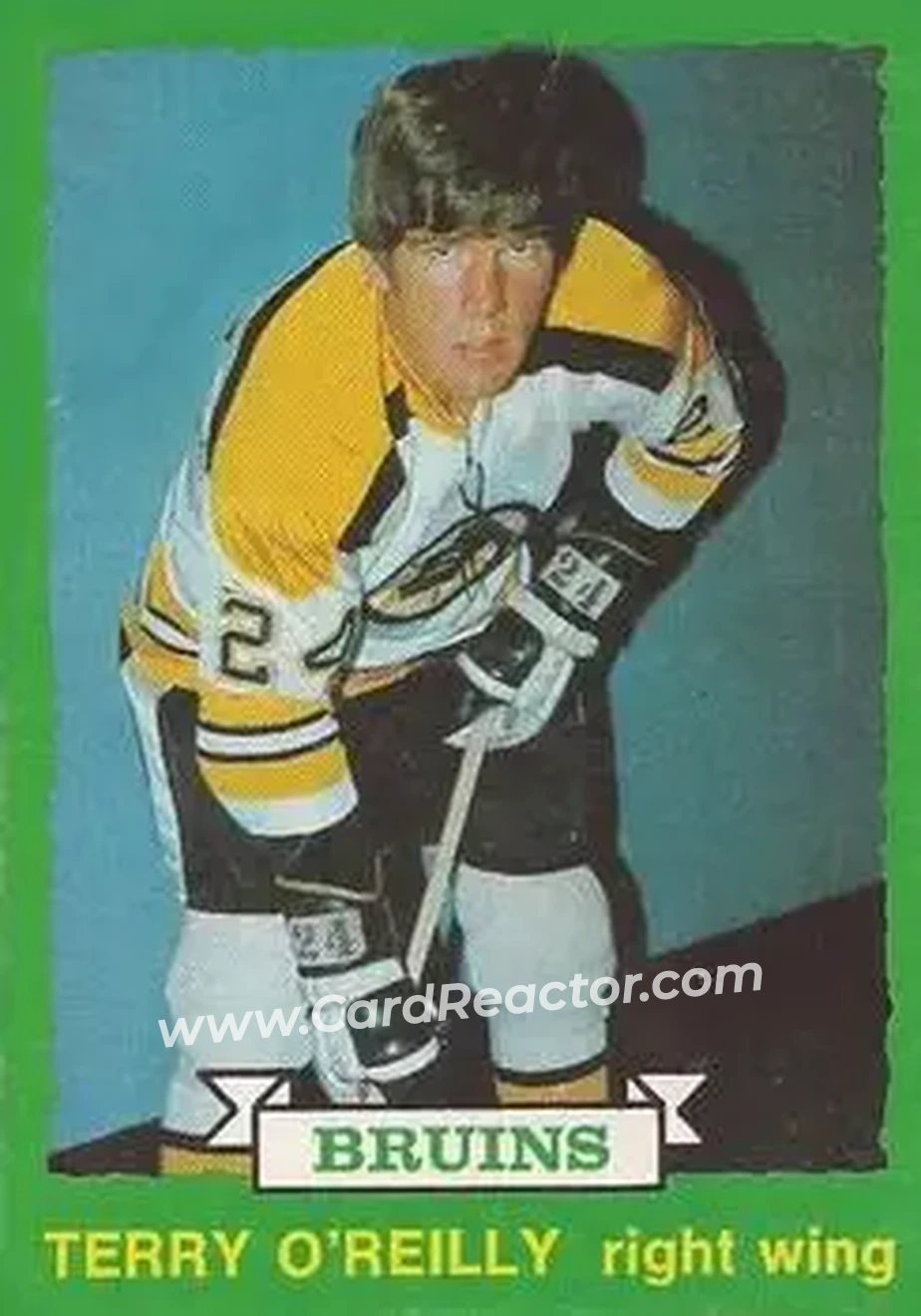 1973-74 O-Pee-Chee #254 - Terry O'Reilly - Boston Bruins - Front