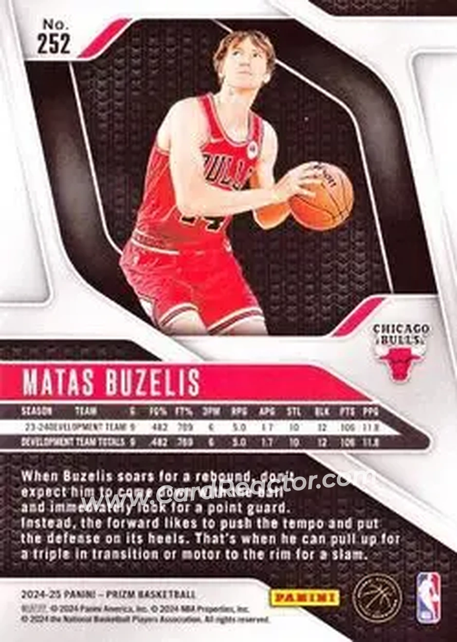 2024-25 Panini Prizm #252 - Matas Buzelis - Chicago Bulls - Back