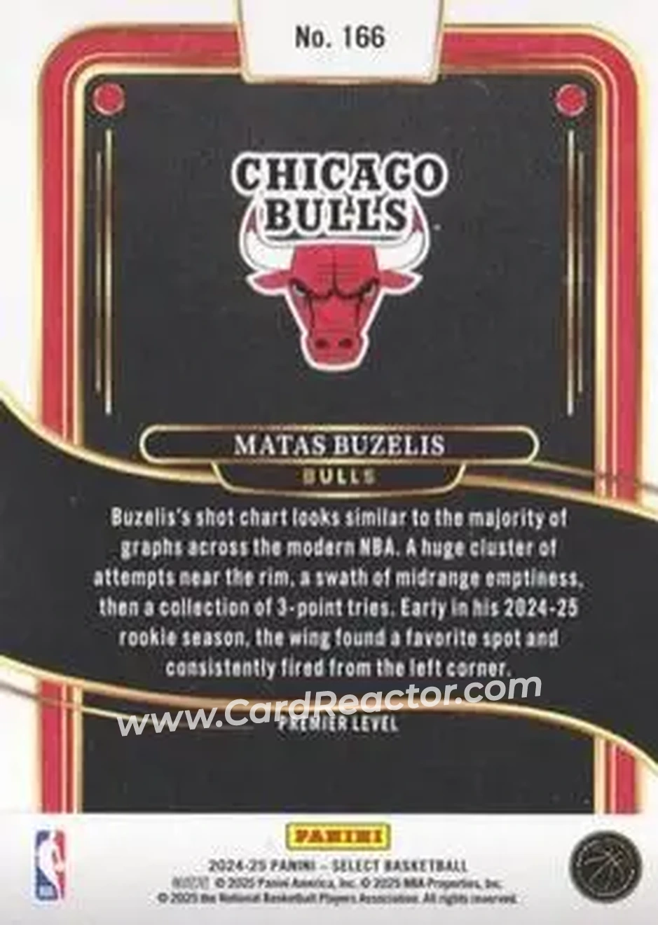 2024-25 Panini Select #166 - Matas Buzelis - Chicago Bulls - Back