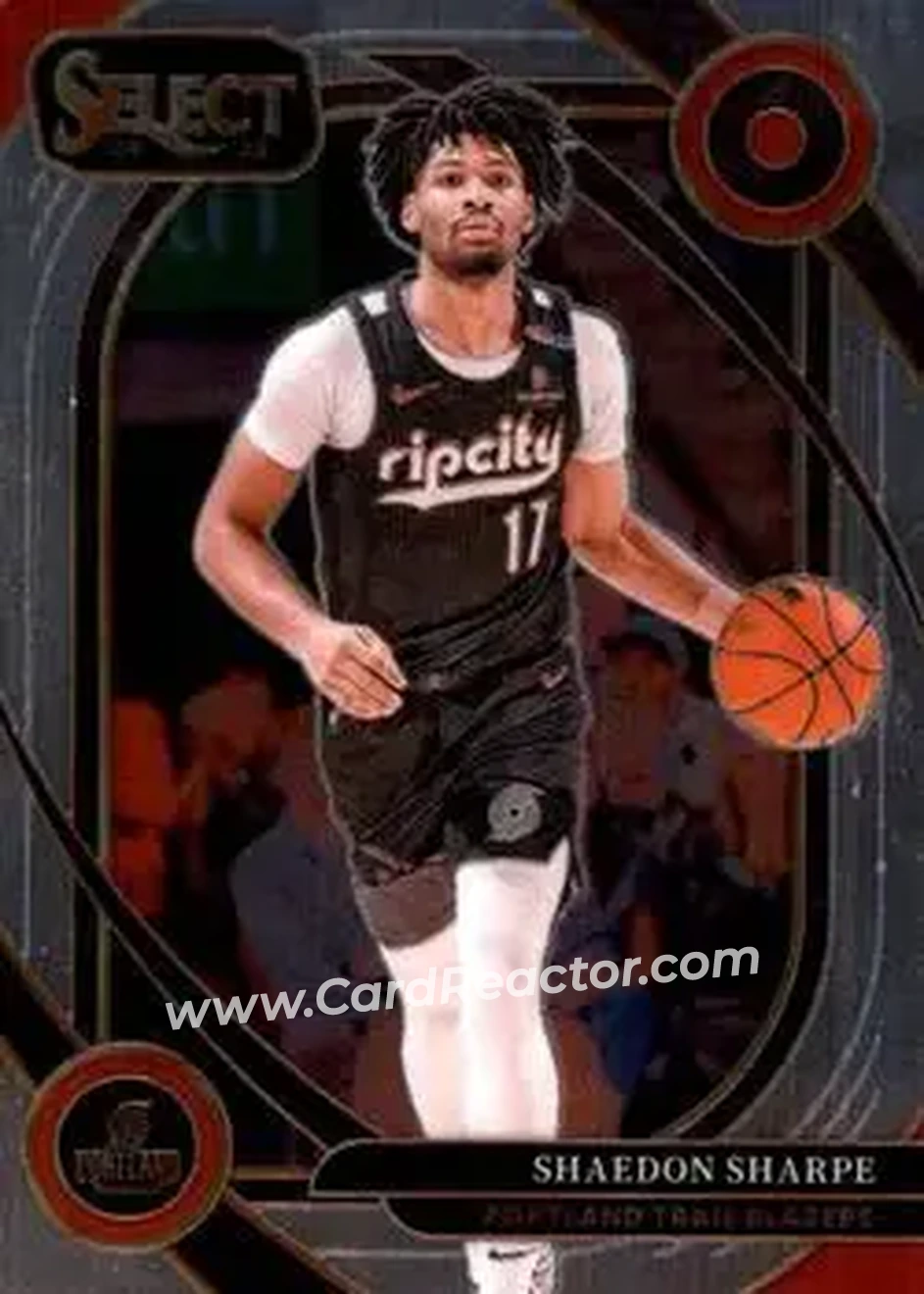 2024-25 Panini Select #244 - Shaedon Sharpe - Portland Trail Blazers - Front
