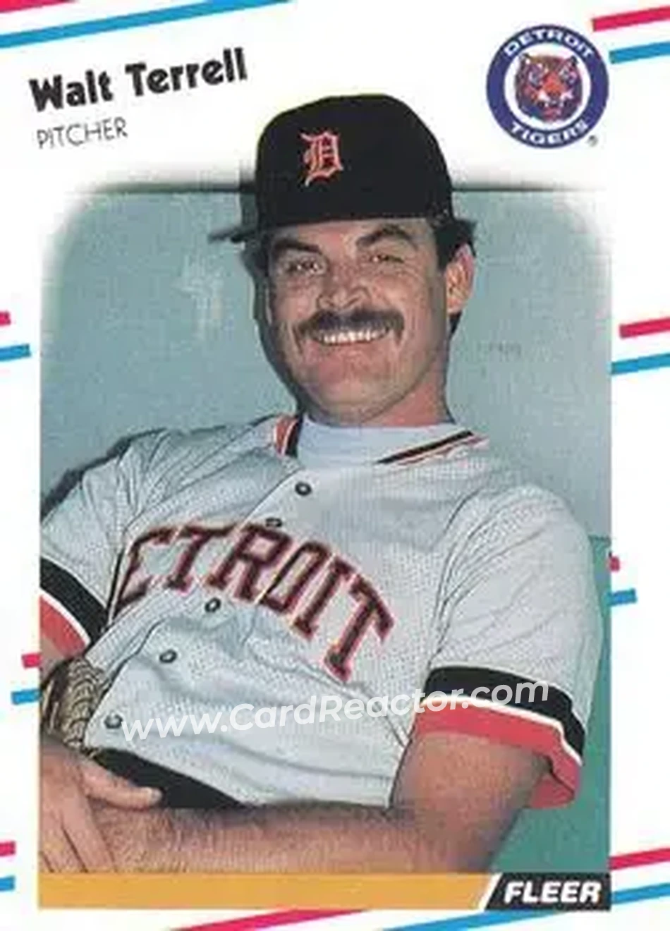 1988 Fleer #72 - Walt Terrell - Detroit Tigers - Front