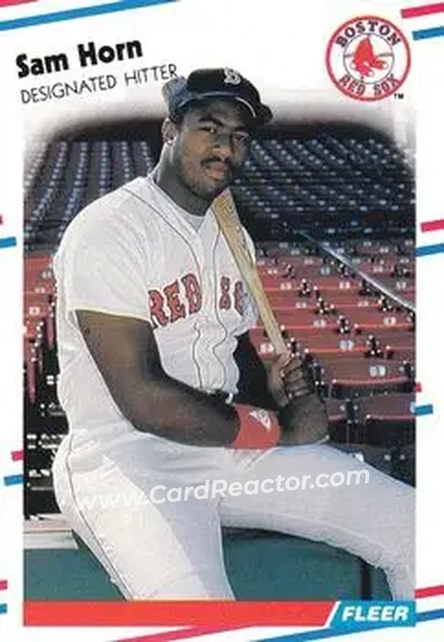 1988 Fleer #355 - Sam Horn - Boston Red Sox - Front