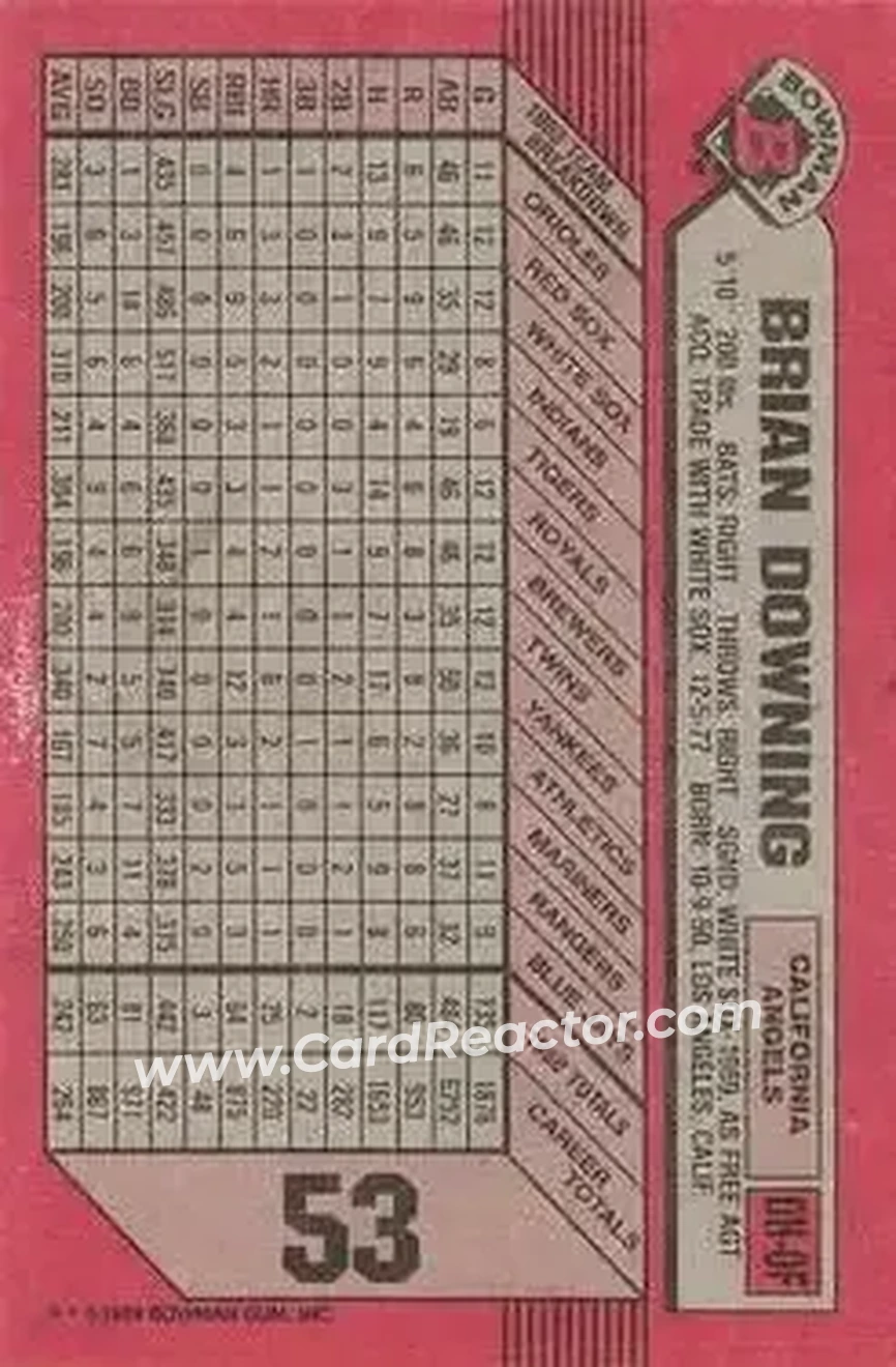 1989 Bowman #53 - Brian Downing - California Angels - Back