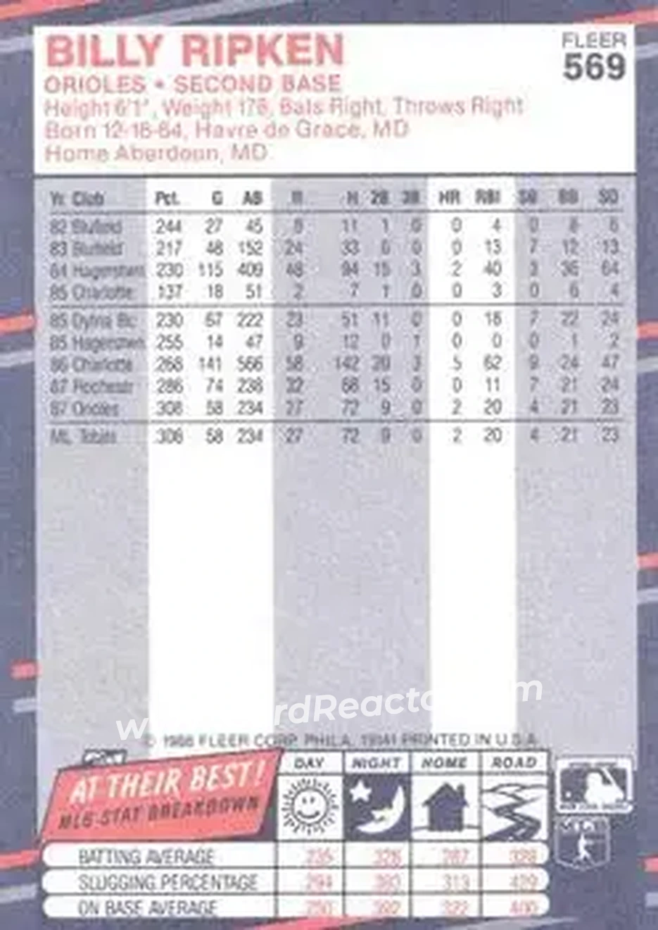 1988 Fleer #569 - Billy Ripken - Baltimore Orioles - Back