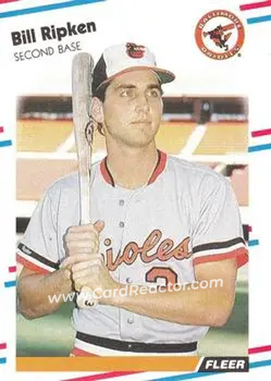 1988 Fleer #569 - Billy Ripken - Baltimore Orioles