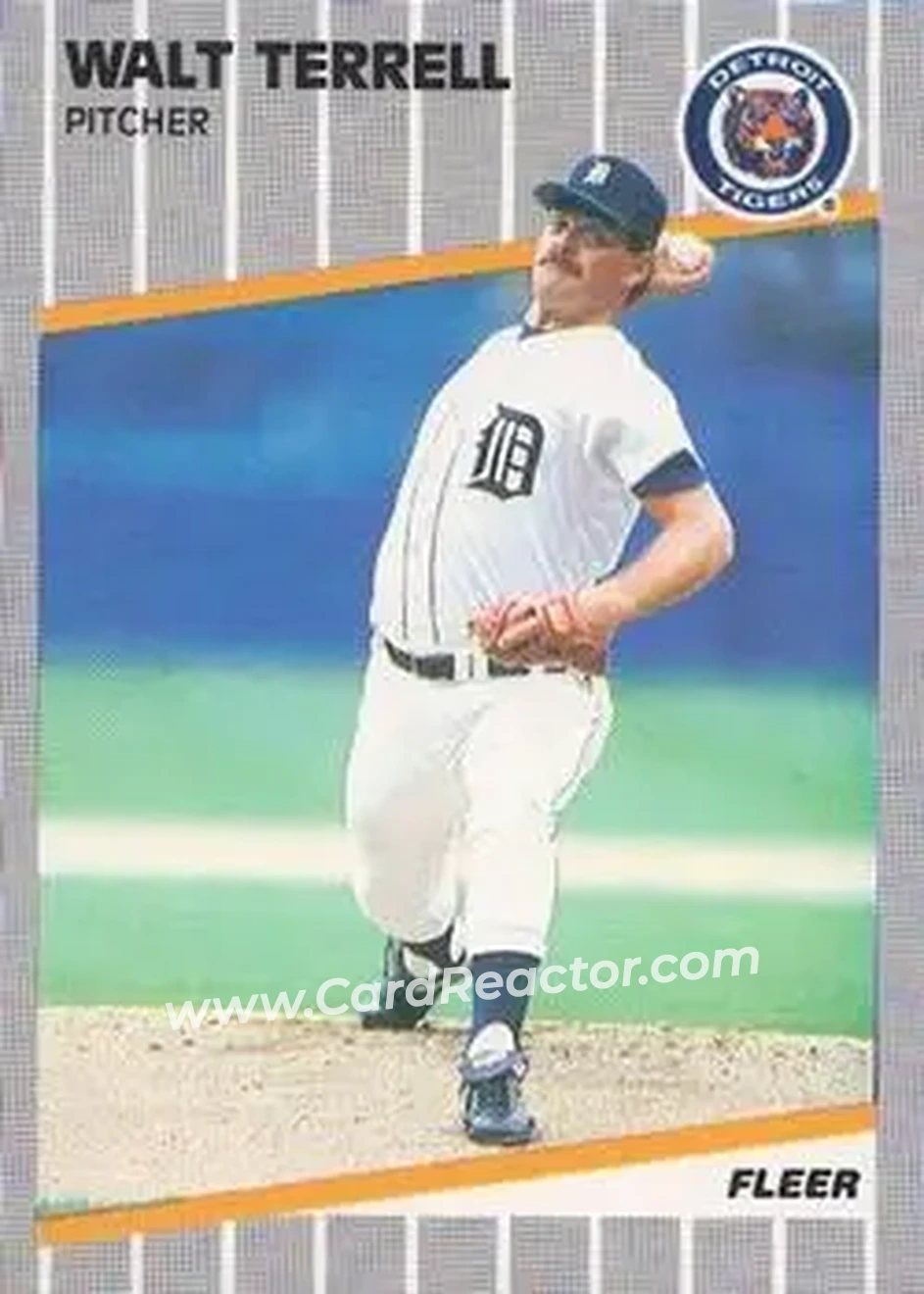 1989 Fleer #149 - Walt Terrell - Detroit Tigers - Front