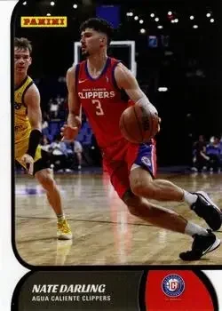 2021-22 Panini NBA G League Box Set #5 Nate Darling