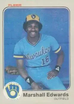 1983 Fleer feature card