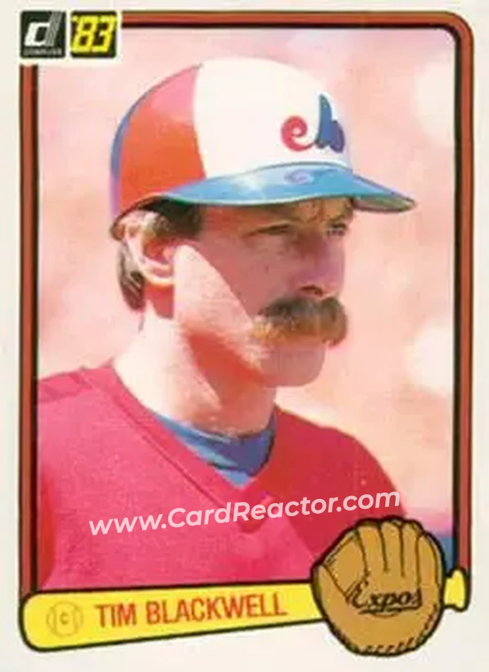 1983 Donruss #214 - Tim Blackwell - Montreal Expos - Front