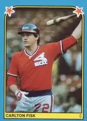1983 Fleer Star Stickers feature card