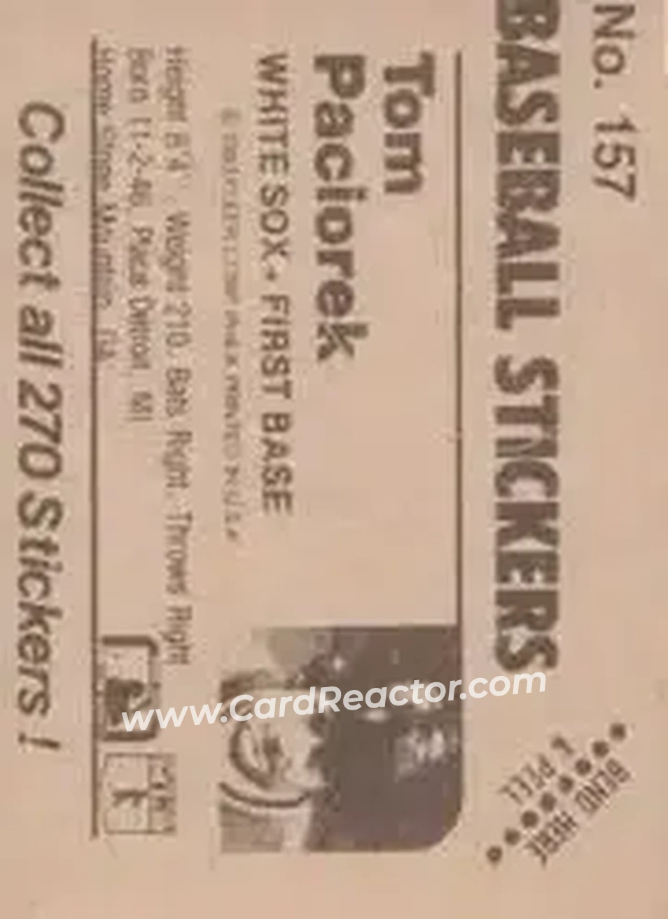 1983 Fleer Star Stickers #157 - Tom Paciorek - Chicago White Sox - Back 1983 Fleer Star Stickers #157 - Tom Paciorek - Chicago White Sox - Back