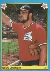 1983 Fleer Star Stickers feature card