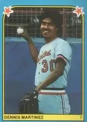 1983 Fleer Star Stickers feature card