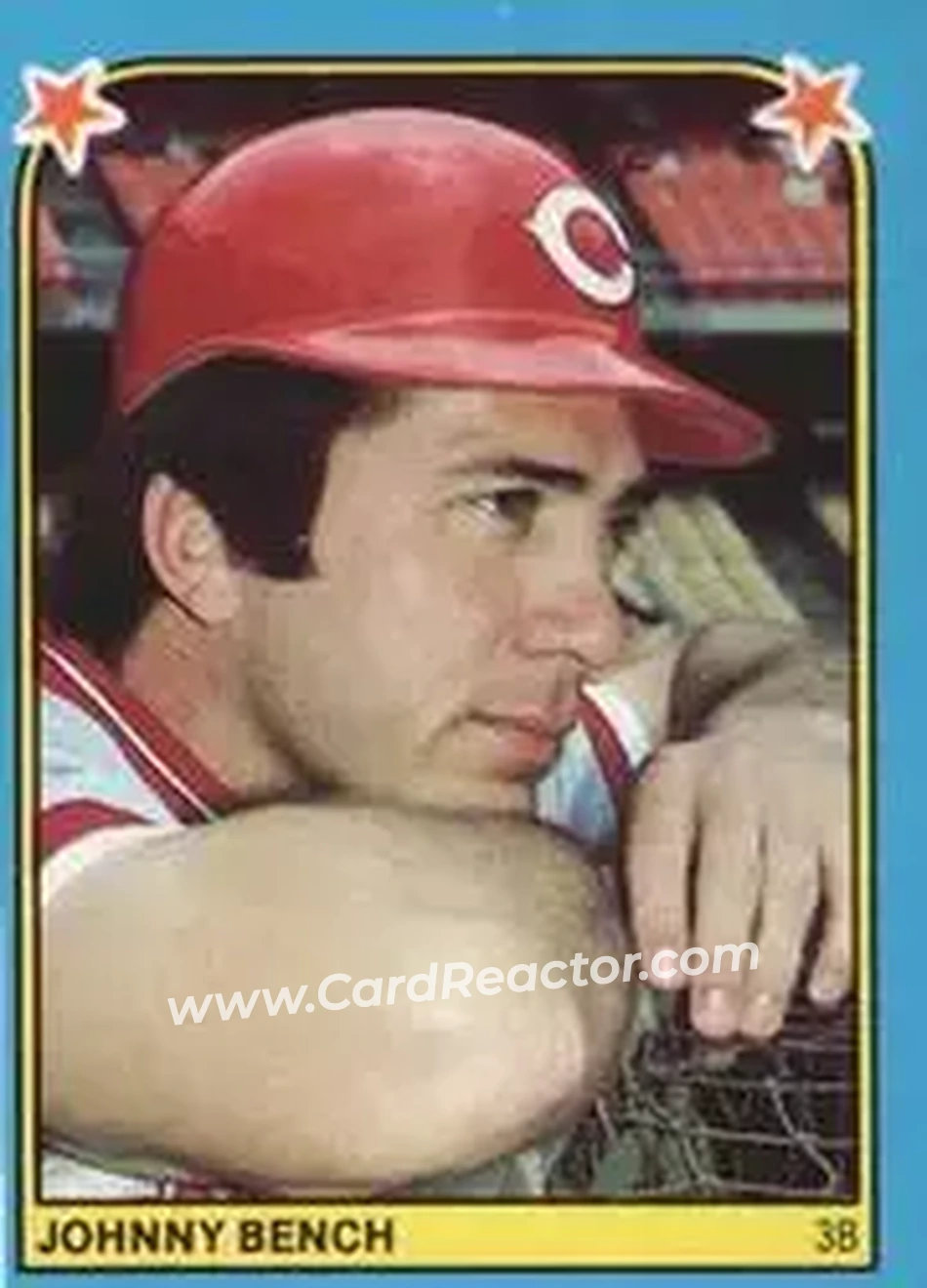 1983 Fleer Star Stickers #214 - Johnny Bench - Cincinnati Reds - Front