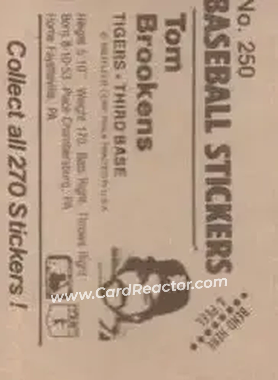 1983 Fleer Star Stickers #250 - Tom Brookens - Detroit Tigers - Back 1983 Fleer Star Stickers #250 - Tom Brookens - Detroit Tigers - Back